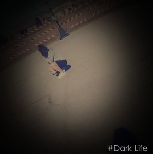 Meet your Posher, Bernice